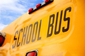 School Bus Crash Sends Children and Driver to Hospital