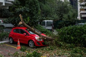 Does Car Insurance Cover Storm Damage?