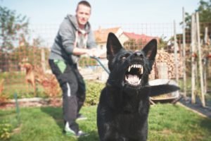 New Iberia Dog Bite Lawyer