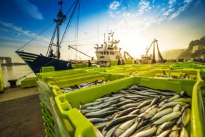 Lafayette Commercial Fishing Injury Lawyer