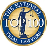 NTL-top-100-member-seal 1 (1)